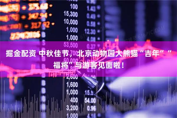 掘金配资 中秋佳节，北京动物园大熊猫“吉年”“福将”与游客见面啦！