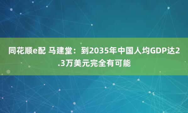 同花顺e配 马建堂：到2035年中国人均GDP达2.3万美元完全有可能