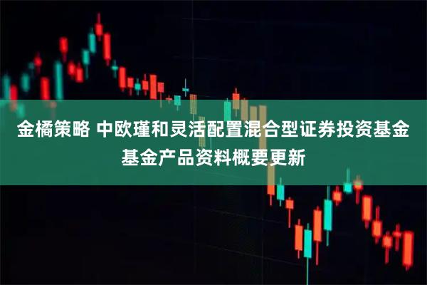 金橘策略 中欧瑾和灵活配置混合型证券投资基金基金产品资料概要更新